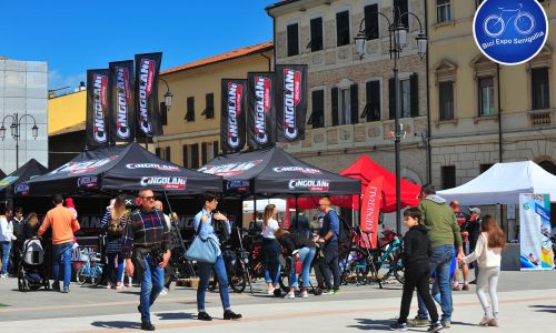Esposizione