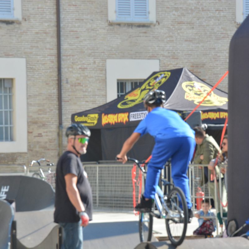 Pump Track